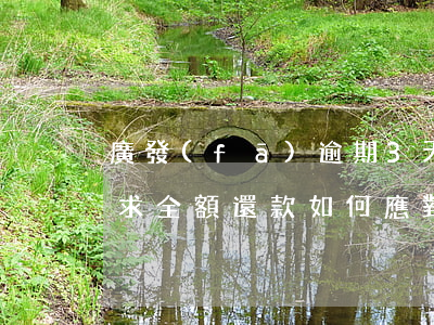 廣發(fā)逾期3天，現(xiàn)在要求全額還款，如何應對？廣發(fā)逾期4天，現(xiàn)在要全額還款，解決方案是什么？廣發(fā)逾期幾天